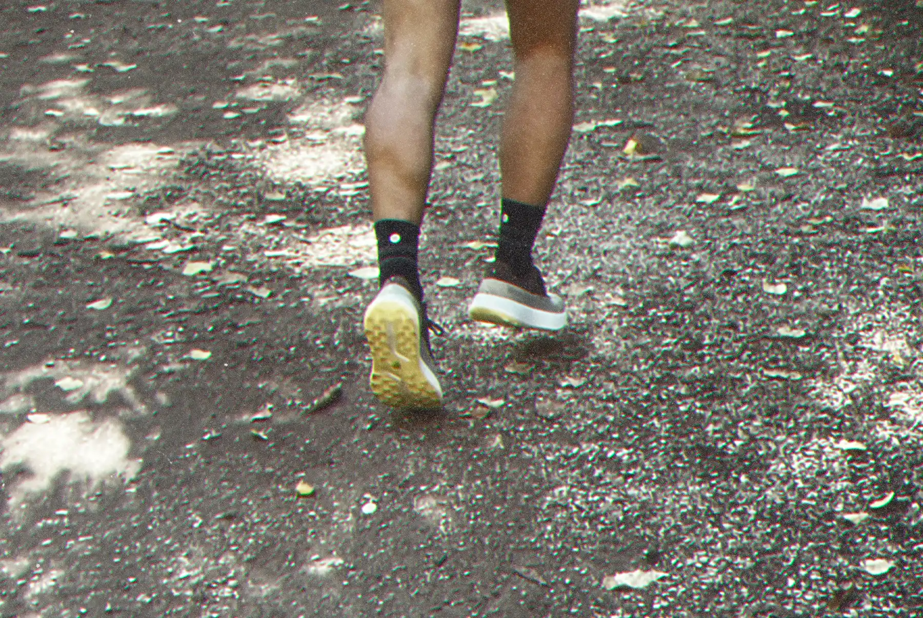 Mount to Coast H1 - Borderlands Trail Running