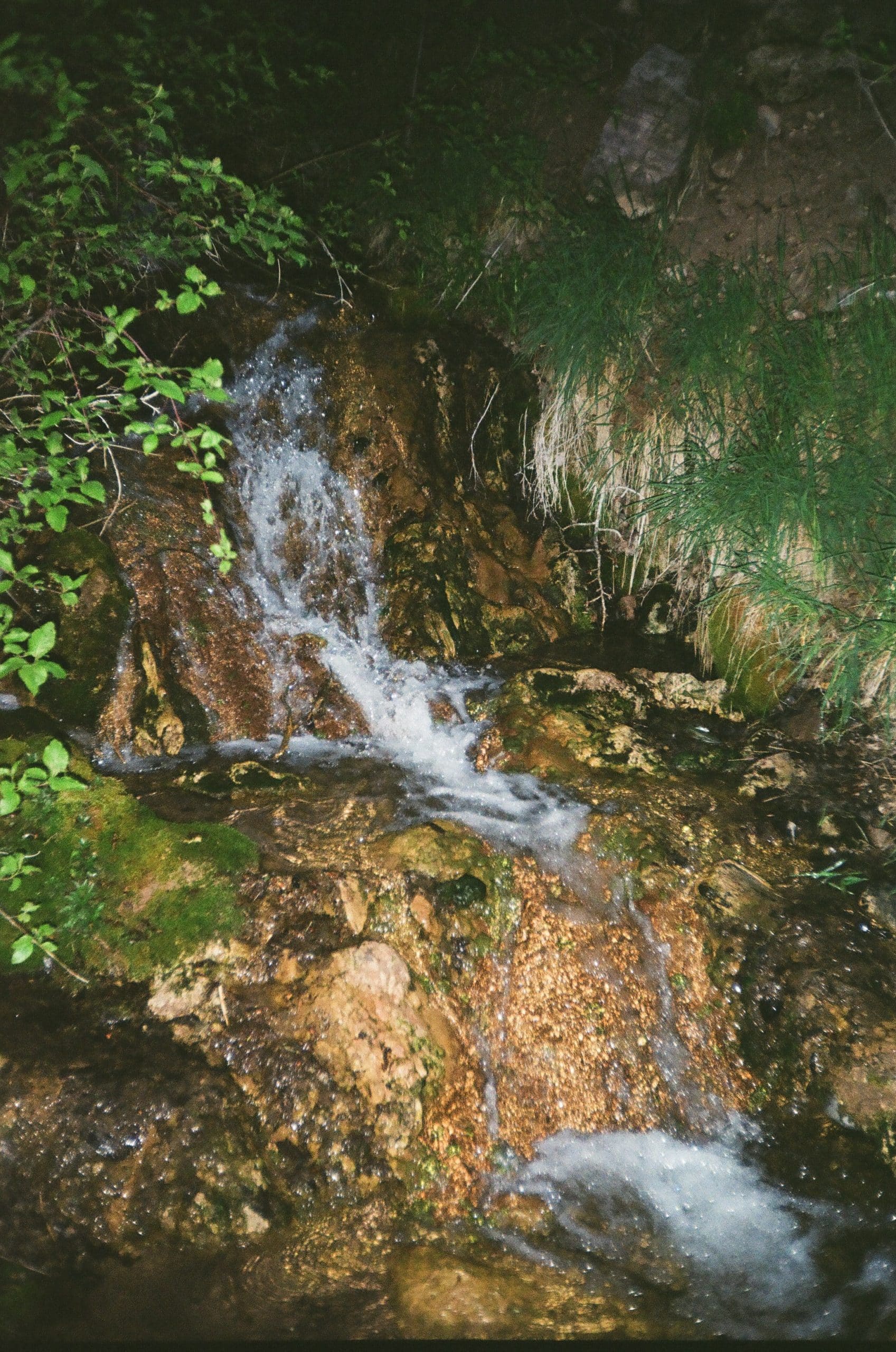 Alpine waterfall in the Utah Mountains
