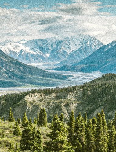 Mountain Scene with Pine Trees and Snow Capped Peaks