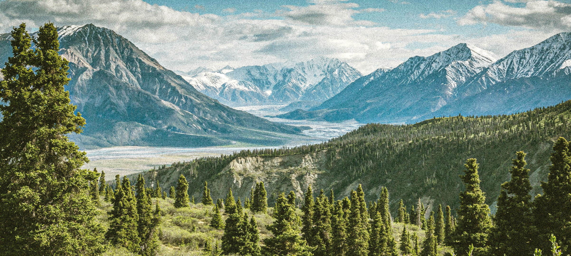 Mountain Scene with Pine Trees and Snow Capped Peaks